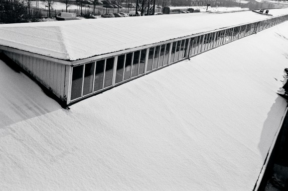 Den rå hal - ude</br>