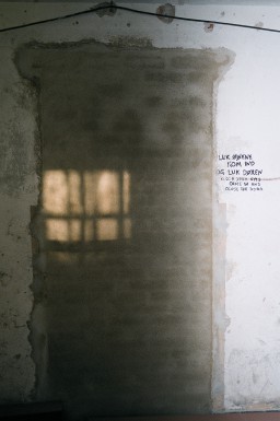 Før og i process</br>