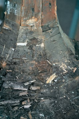 Kobberarbejdet på tagrytterne