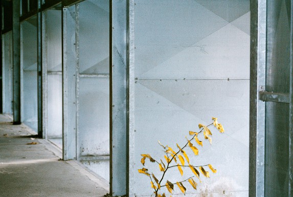 Transformationens tidlige rum