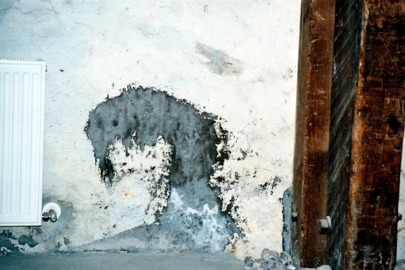 Transformationens tidlige rum